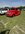 IMG_0698.jpeg