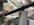 IMG_5434.jpeg