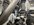 IMG_5491.jpeg