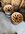 IMG_5065.jpeg