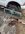 IMG_5296.jpeg