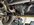 IMG_9641.jpeg