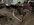 IMG_9644.jpeg