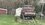 IMG_1369.jpeg