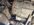 IMG_9664.jpeg