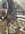 IMG_3764.jpeg