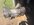 IMG_3746.jpeg