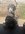 IMG_3747.jpeg