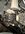 IMG_6113.jpeg