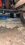 IMG_9696.jpeg