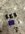 IMG_6120.jpeg