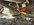 IMG_9695.jpeg