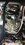 IMG_20260418_112214425~2.jpg