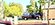 IMG_8835.jpeg