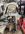 IMG_5532.jpeg