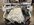 IMG_5535.jpeg
