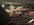 IMG_8925.jpeg