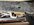 IMG_9337.jpeg