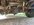 IMG_2839.jpeg