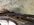 IMG_2848.jpeg
