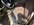 IMG_2849.jpeg