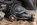 IMG_1388.jpeg