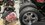 IMG_1391.jpeg