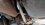 IMG_20260423_165429278_MP.jpg