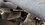 IMG_20260423_165441878_MP.jpg