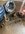 IMG_8069.jpeg