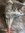 IMG_8072.jpeg