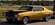 IMG_9423.jpeg