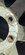 IMG_7422.jpeg