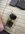 IMG_4952.jpeg
