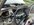 IMG_2881.jpeg