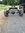 IMG_8851.jpeg