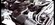 IMG_9568.jpeg
