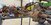 IMG_3199.jpeg