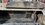 IMG_1432.jpeg