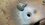 IMG_1436.jpeg
