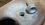 IMG_1437.jpeg