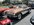 IMG_5556.jpeg
