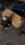 IMG_9814.jpeg
