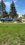 IMG_9816.jpeg