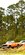 IMG_9731.jpeg