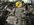IMG_9801.jpeg