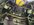 IMG_9802.jpeg