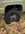 IMG_1190.png