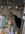 IMG_7325.jpeg