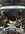 IMG_7327.jpeg